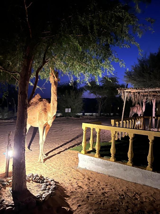 Golden Palm Oasis Ξενοδοχείο Fulayj al Masha'ikh Εξωτερικό φωτογραφία