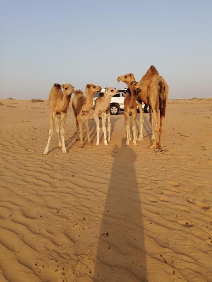 Golden Palm Oasis Ξενοδοχείο Fulayj al Masha'ikh Εξωτερικό φωτογραφία