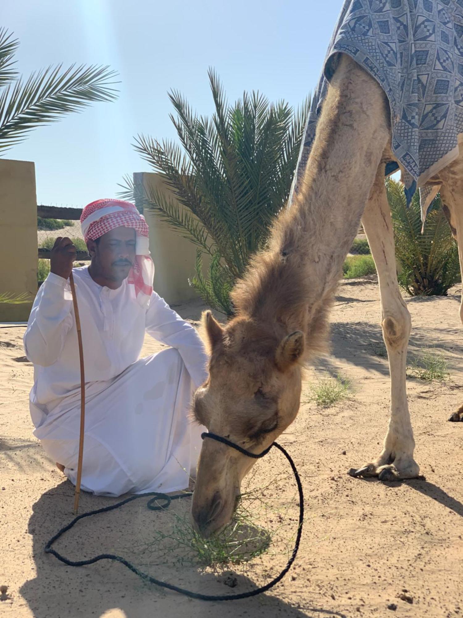 Golden Palm Oasis Ξενοδοχείο Fulayj al Masha'ikh Εξωτερικό φωτογραφία