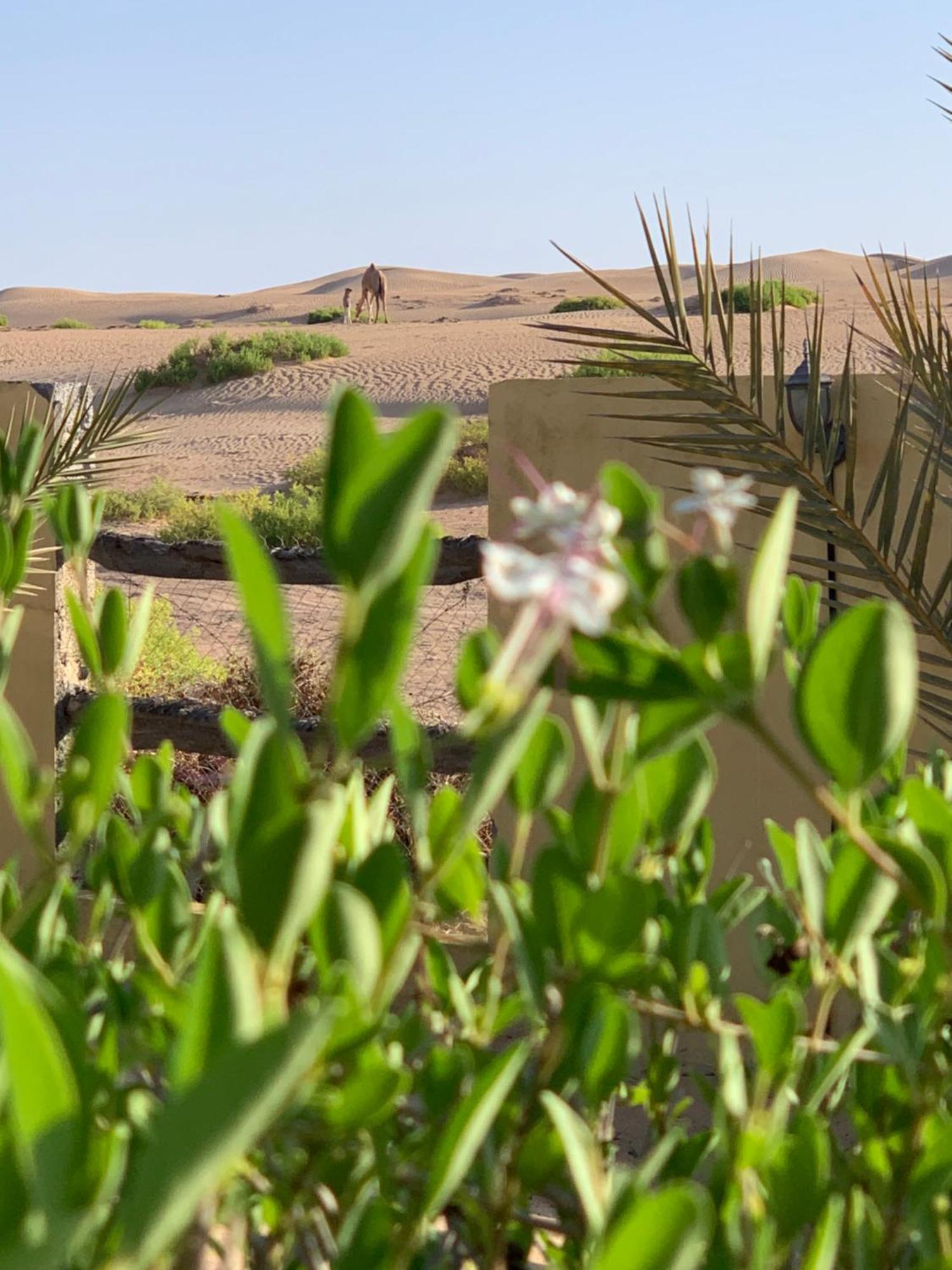 Golden Palm Oasis Ξενοδοχείο Fulayj al Masha'ikh Εξωτερικό φωτογραφία